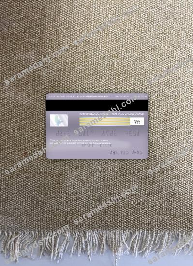 India Axis bank visa signature card photolook back